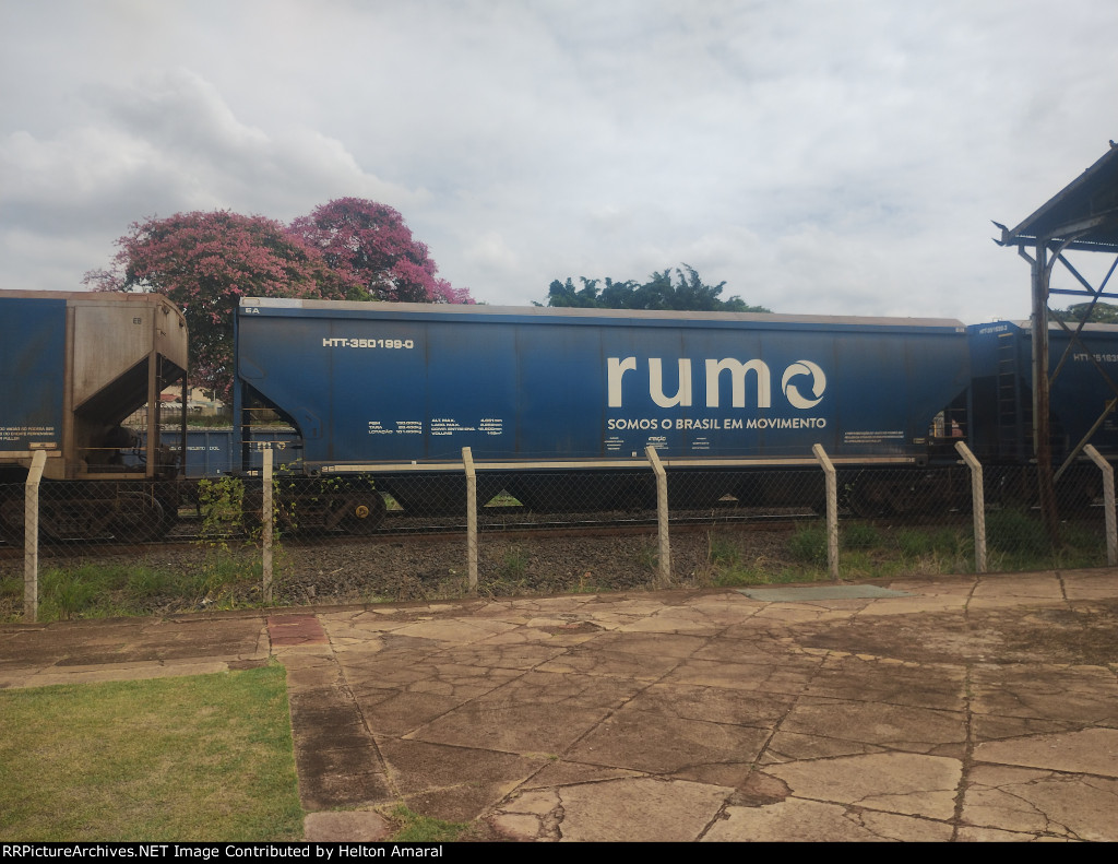 RUMO HTT-350199-0